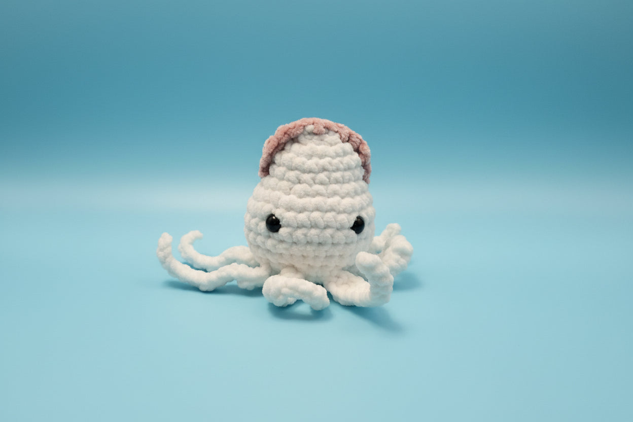 Squid