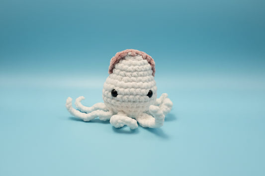 Squid