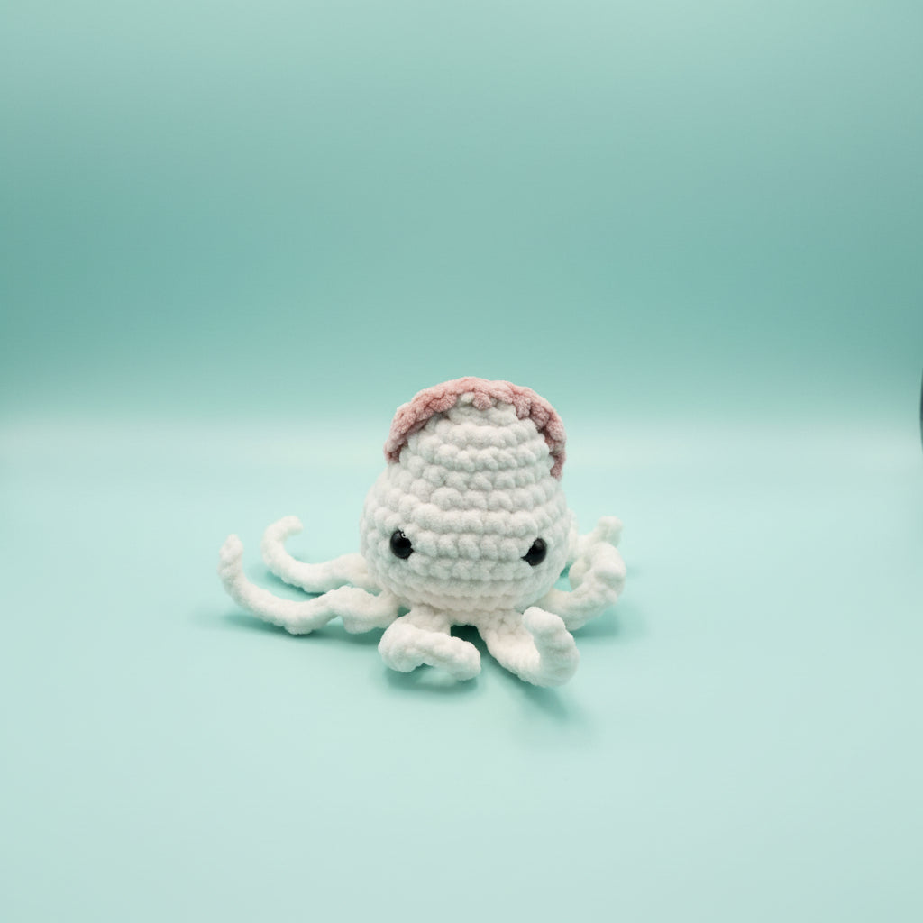 Squid