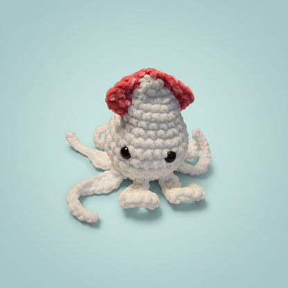 Squid