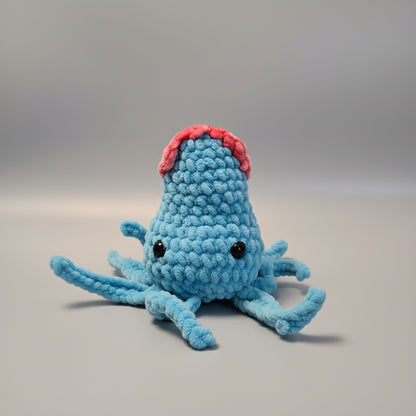 Squid